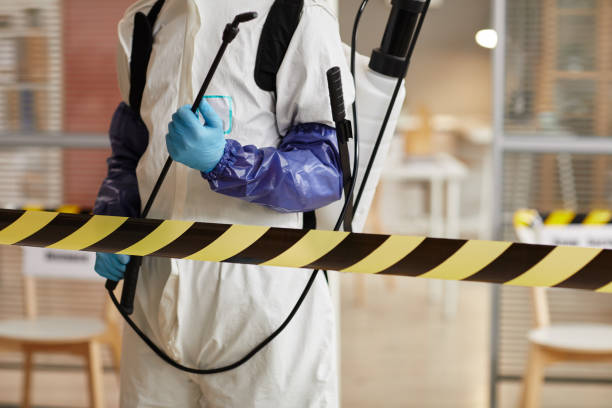 Professional Biohazard Cleanup technician working in Branch, AR